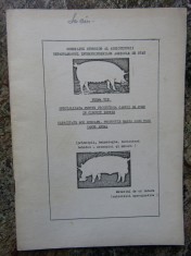FERMA TIP PENTRU PRODUCEREA CARNII DE PORC IN CIRCUIT INCHIS foto