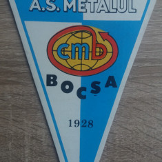 M3 C7 - Tematica cluburi sportive - Asociatia sportiva Metalul Bocsa