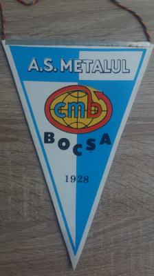 M3 C7 - Tematica cluburi sportive - Asociatia sportiva Metalul Bocsa foto