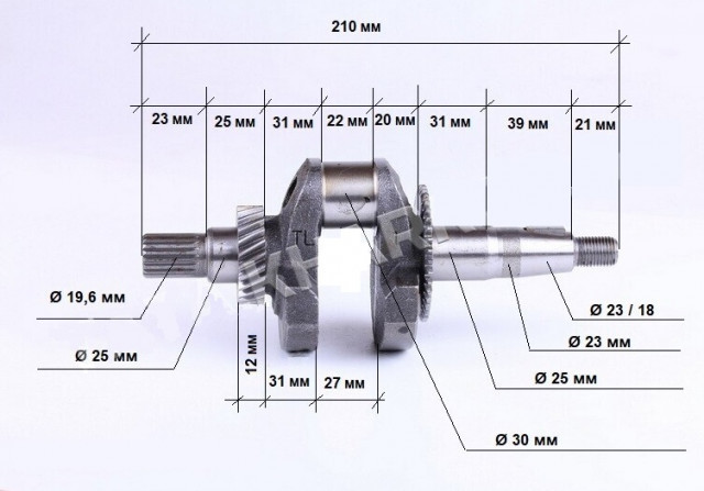 Ambielaj motosapa / motocultor (ax canelat 19 dinti) 5 - 7 CP