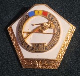 Insigna Campionatele Internationale RARA