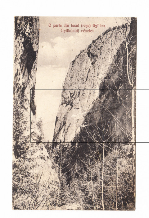 CP O parte din Lacul Rosu, interbelica, circulata, 1927, stare buna