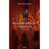 A Boszork&aacute;nyok V&eacute;dőszentje - Dezső S&aacute;ndor