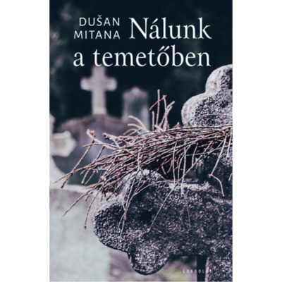 N&amp;aacute;lunk a temetőben - Du&amp;scaron;an Mitana foto