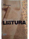 Alex Stefanescu - Ceva care seamana cu literatura (Editia: 2003)