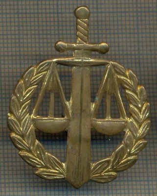 Y 1537 INSIGNA- MILITARA -SEMN DE ARMA - JUSTITIE MILITARA -PENTRU COLECTIONARI foto