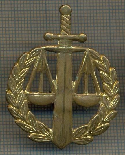 Y 1537 INSIGNA- MILITARA -SEMN DE ARMA - JUSTITIE MILITARA -PENTRU COLECTIONARI