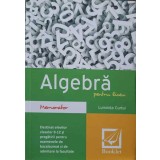 ALGEBRA PENTRU LICEU. MEMORATOR-LUMINITA CURTUI-353386