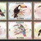 Ras al Khaima 1972 Mi 920/25 B nedantelat MNH - Tucani, pasari
