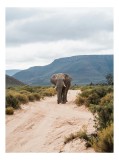Tablou Canvas, "Elefant singuratic &icirc;n sălbăticia africană", Elefant, Drum, Munte, Nori, Vegetație, Natură, Sălbăticie, Peisaj, Aventură, Libertate, 26