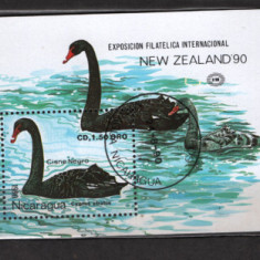 NICARAGUA 1990 - FAUNA. LEBADA NEAGRA, COLITA STAMPILATA, C37