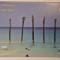 Set Monede Aruba, 1989, 6 monede si un jeton, excelent