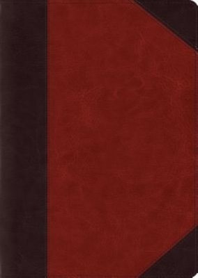 ESV Study Bible, Large Print (Trutone, Brown/Cordovan, Portfolio Design) foto