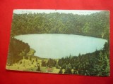 Ilustrata color 1925 Lacul Sf.Ana Baile Tusnad ,Ed. Andrasofszky