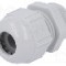 Presetupa poliamida, PG11, IP68, {{Seria producatorului}}, LAPP - 53018120