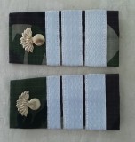 C3 - Grade militare - mozaic padure - plutonier major infanterie