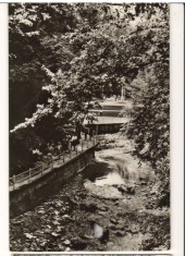 CPIB 22627 - CARTE POSTAL - SLANIC MOLDOVA. ALEEA IZVOARELOR