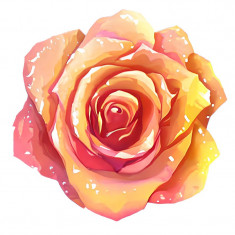 Sticker decorativ Trandafir, Portocaliu, 60 cm, 7898ST