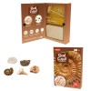Kit paleontologie - Descopera fosile, Keycraft