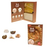 Kit paleontologie - Descopera fosile PlayLearn Toys, Keycraft