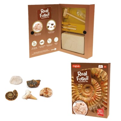 Kit paleontologie - Descopera fosile PlayLearn Toys foto