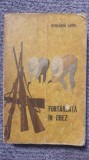 Fortareata in orez, Benjamin Appel, 1965, 520 pag, stare buna