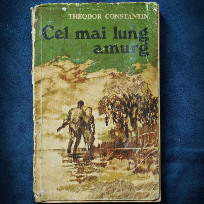 CEL MAI LUNG AMURG - THEDOR CONSTANTIN