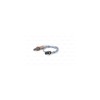 Sonda Lambda BMW 5 Touring E61 BOSCH 0258005320