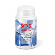 L-Carnitina 500mg Rotta Natura 60cps