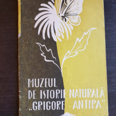 Muzeul de istorie naturală "Grigore Antipa"