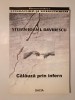 Ștefan Ioan I. Davidescu - Călăuză prin infern (2002)