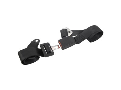 Centura siguranta auto Carpoint ajustabila cu prindere in 2 puncte, lungime 1.9m, 1 buc, pentru vehicole comerciale, microbuze, camioane, trucks foto