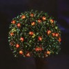 Ghirlanda Luminoasa Solara Buburuze, 25 LED Alb Cald, 2.4m, Gradina, Exterior, Decorativa, Best CarHome
