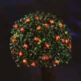 Sir lumina solara cu LED - buburuze - 2,4 m - 25 LED - alb cald Best CarHome, Garden Of Eden