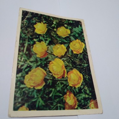 CARTE POSTALA RUSEASCA FELICITARE CIRCULATA foto