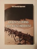 Ion Gavrilă Ogoranu - Brazii se fr&acirc;ng, dar nu se &icirc;ndoiesc vol. 1 (Rezistența anticomunistă &icirc;n Munții Făgărașului) (ed. II)