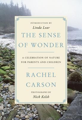 The Sense of Wonder: A Celebration of Nature for Parents and Children foto