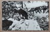 QW24 F - Carte postala - tematica turism - vedere - Focsani 1, Circulata, Fotografie