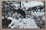 QW24 F - Carte postala - tematica turism - vedere - Focsani 1, Circulata, Fotografie