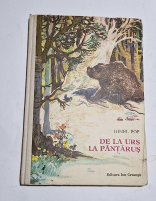 Ionel Pop - De la urs la pantarus foto