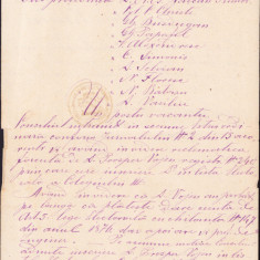 HST A231 Copie de epocă proces verbal 1877 Consiliul comunal oraș Vaslui