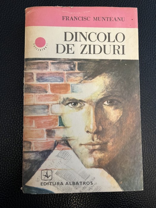 Dincolo de ziduri - Francisc Munteanu
