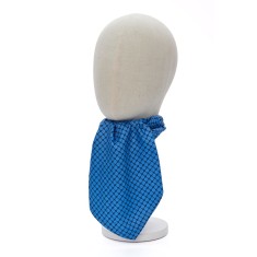 Ascota barbati bleu AS01