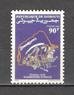 Djibouti.1990 Fosile MD.456 foto
