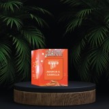 Odorizant Betisoare Satricvm Arancia &amp; Cannella 260 ml