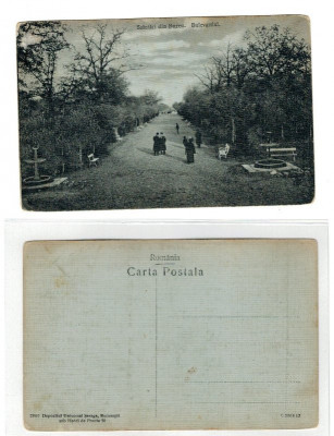 Buzau 1925(aprox.) - Bulevardul, ilustrata necirculata foto