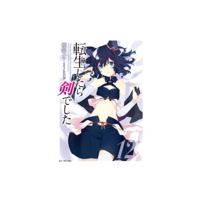 Reincarnated as a Sword (Light Novel) Vol. 12 foto