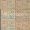 CP227 Lot 9 cărți poștale militare maghiare, 1943, front, diferite T&aacute;bori Posta