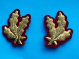 Petlite Militar-Medicina-Aurii