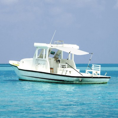 Set extensie parasolar T-Top, alb, 174x205x(115-194) cm foto